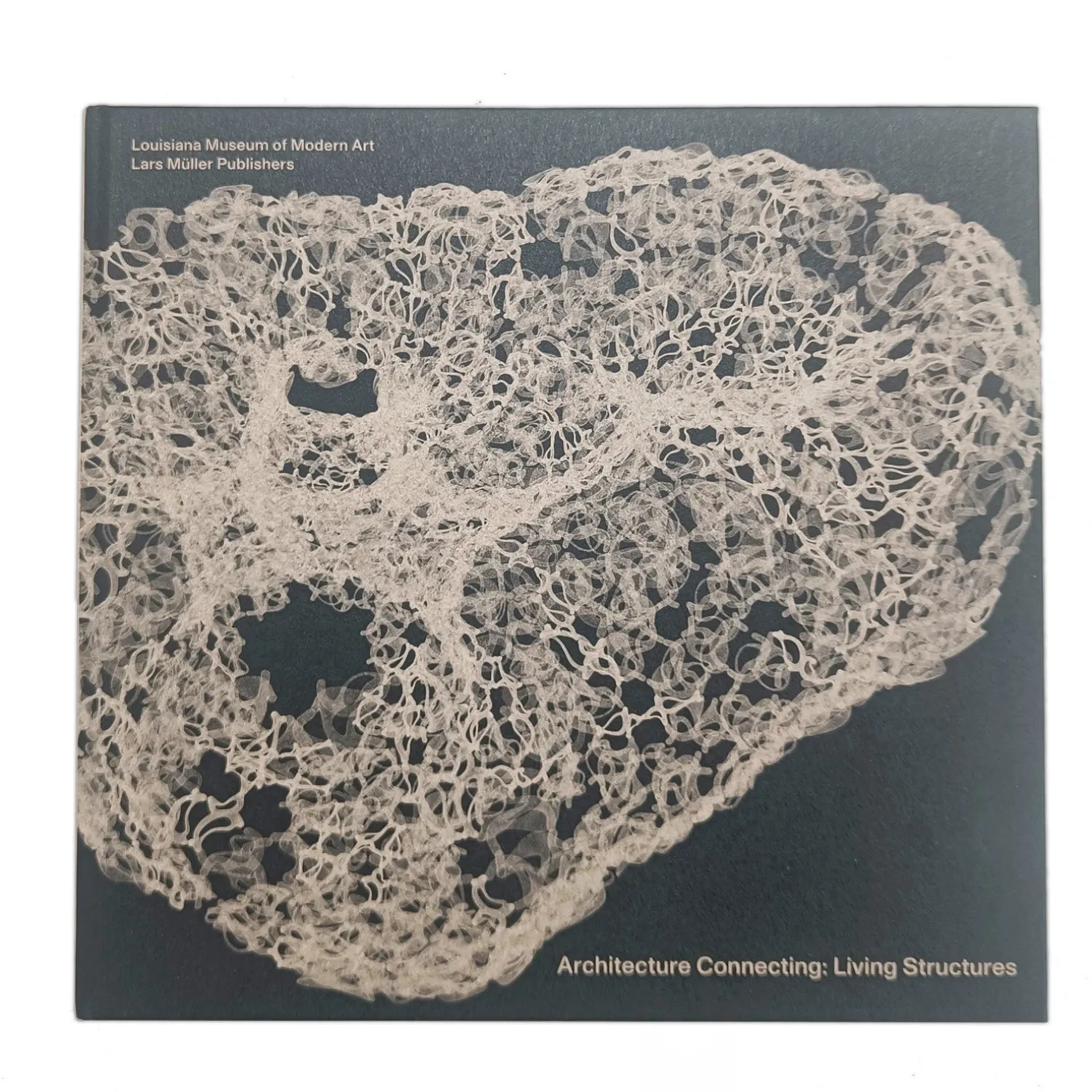 Architecture Connecting (engelsk)