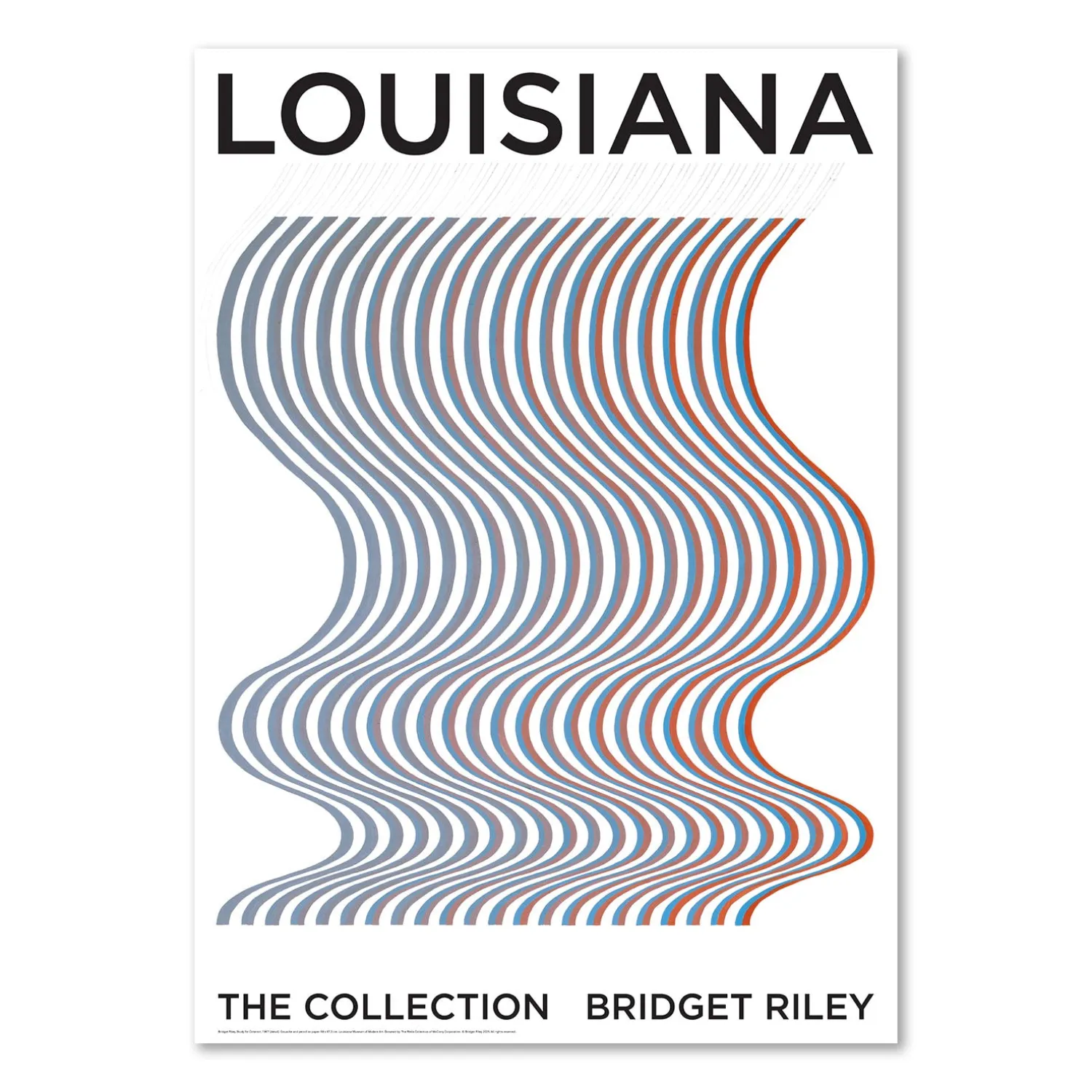 Bridget Riley – Study for Cataract