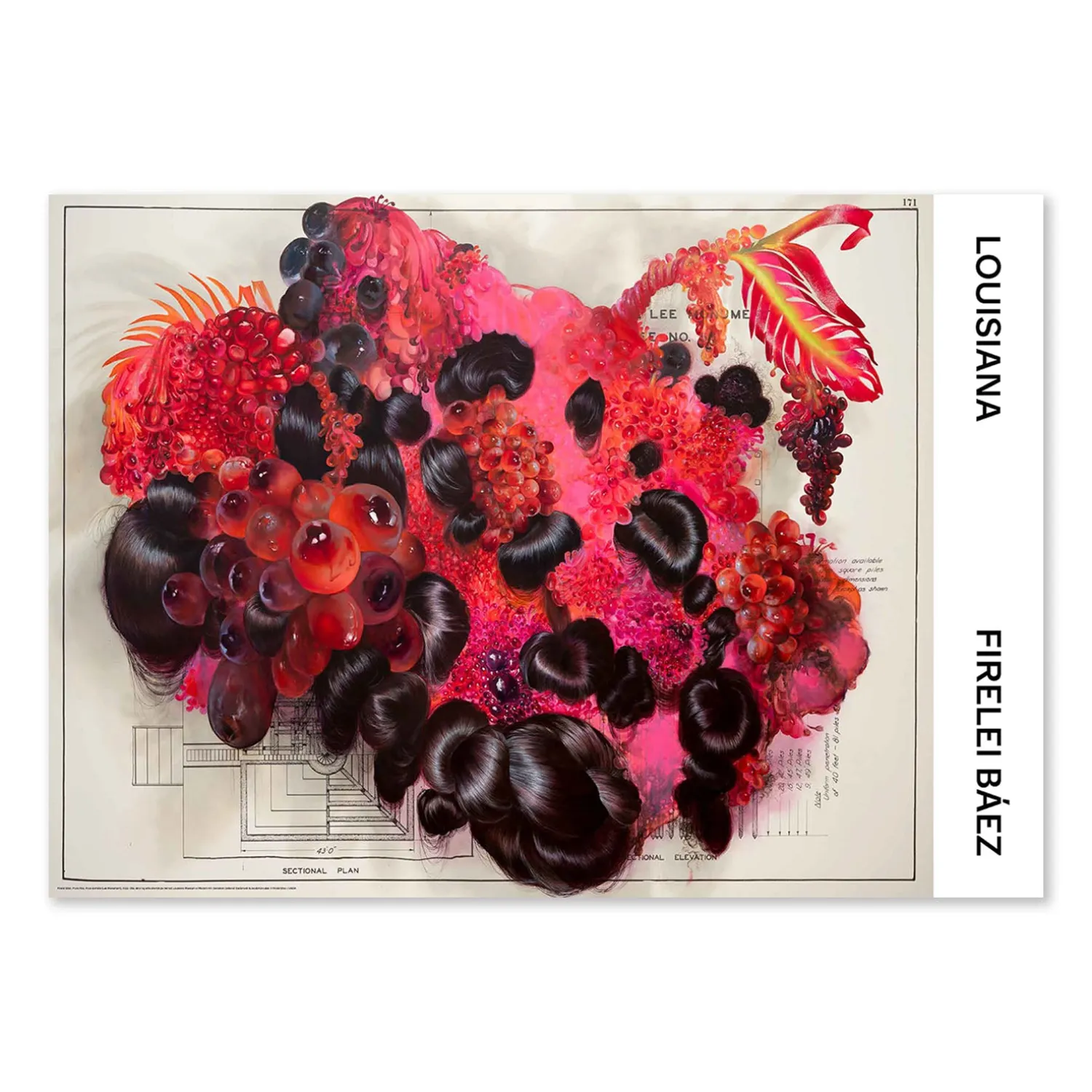 Firelei Báez – Fruta Fina