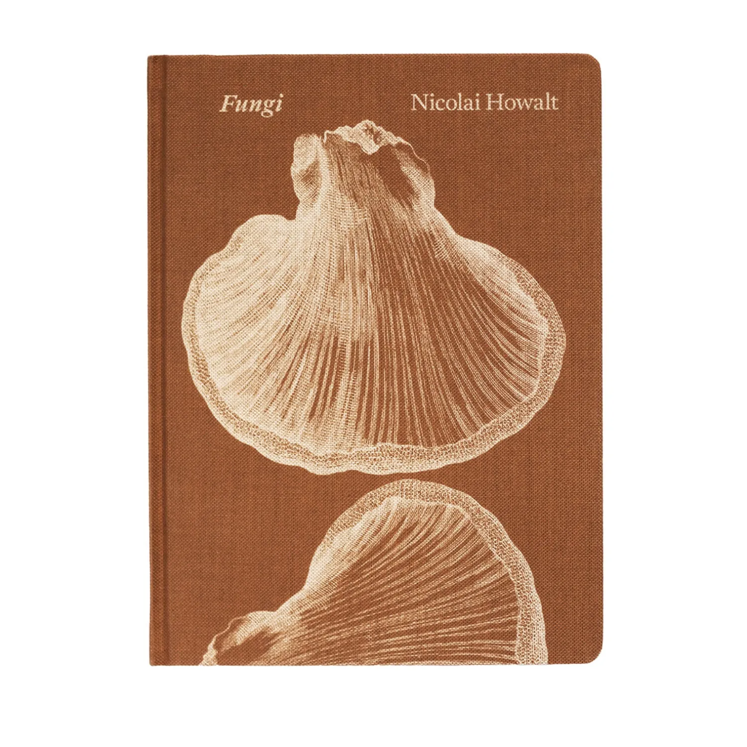 Fungi