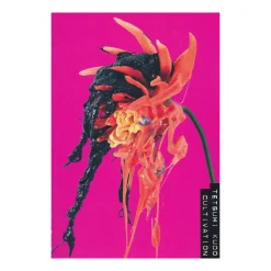 Tetsumi Kudo katalog (English)